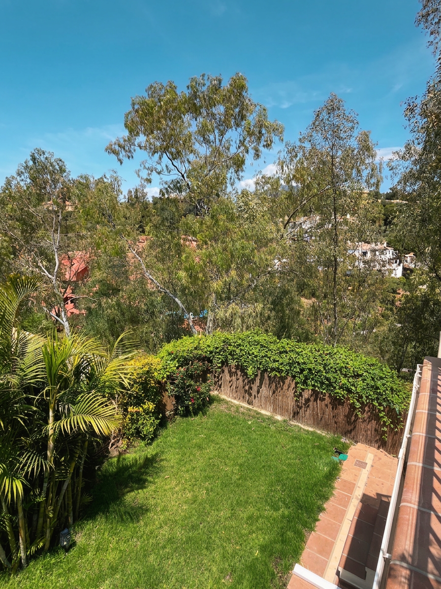 Garden view with eucalyptus trees